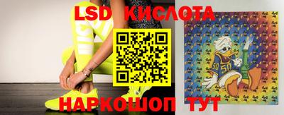 альфа пвп Новодвинск