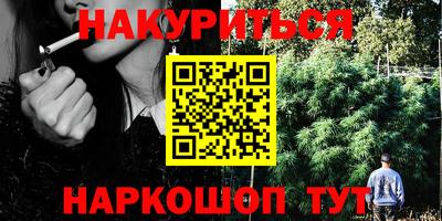альфа пвп Новодвинск