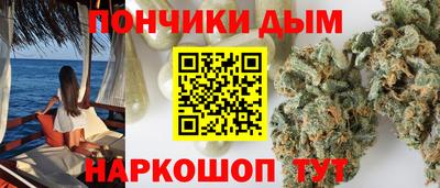 альфа пвп Новодвинск