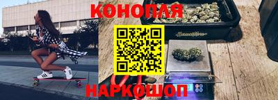 альфа пвп Новодвинск