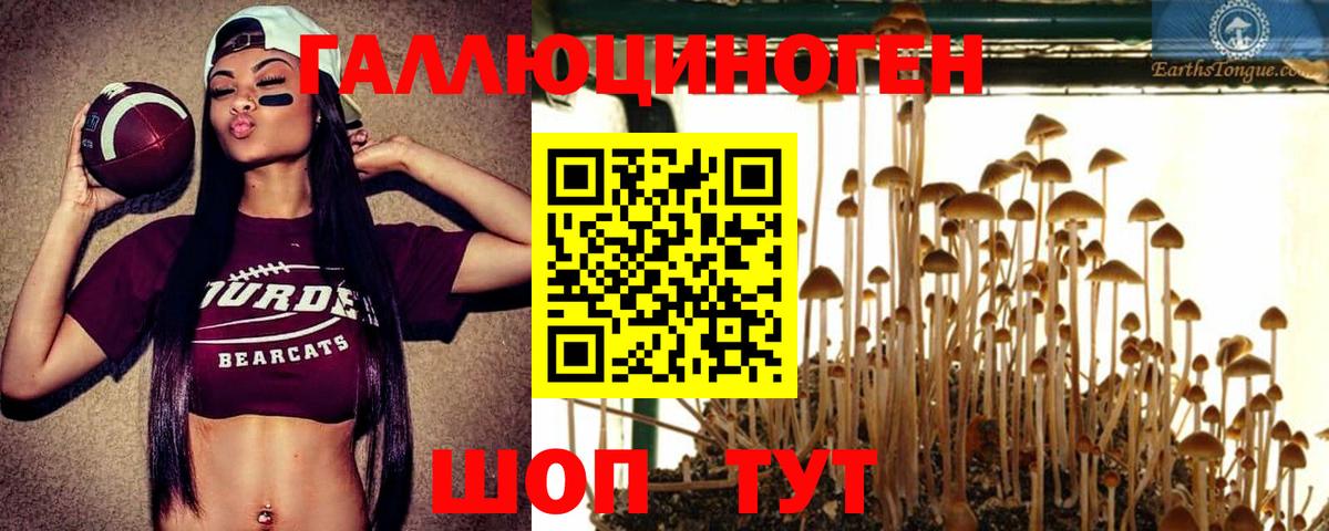 Галлюциногенные грибы мухоморы Александров